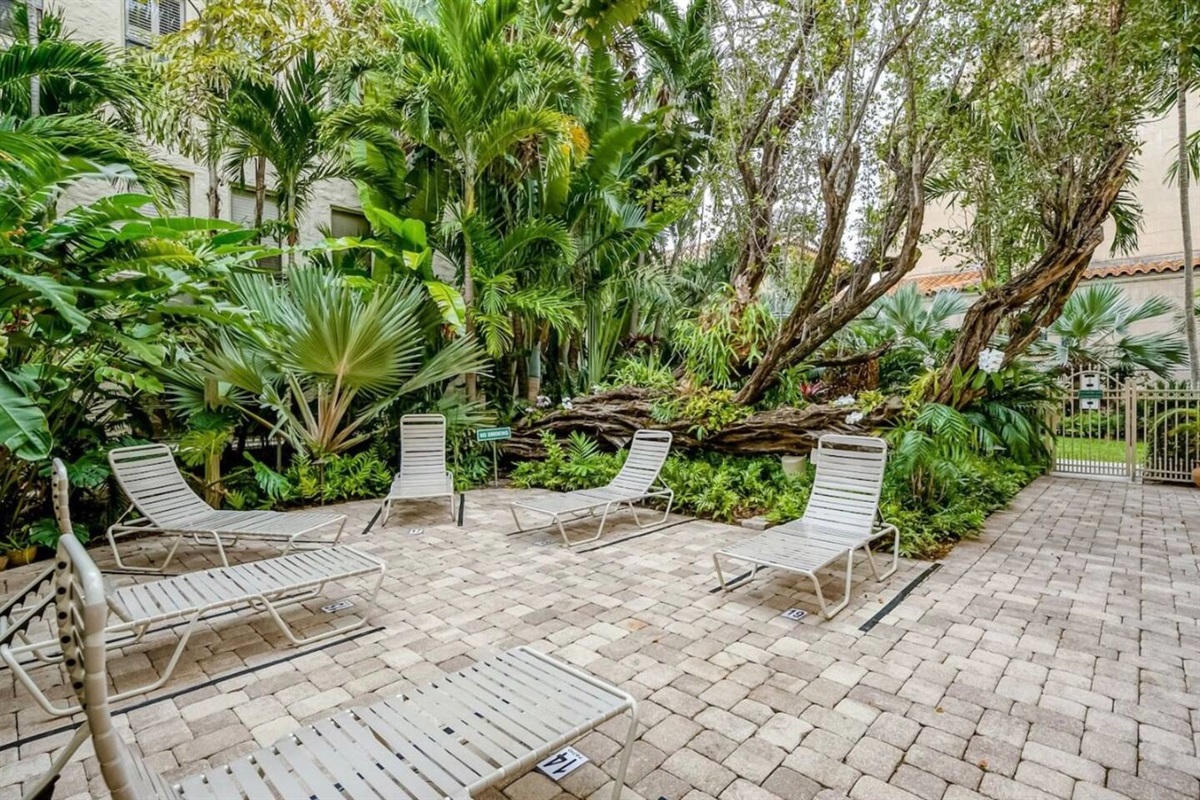 Lounge area under the palm for guests of the Palm Beach Hotel.