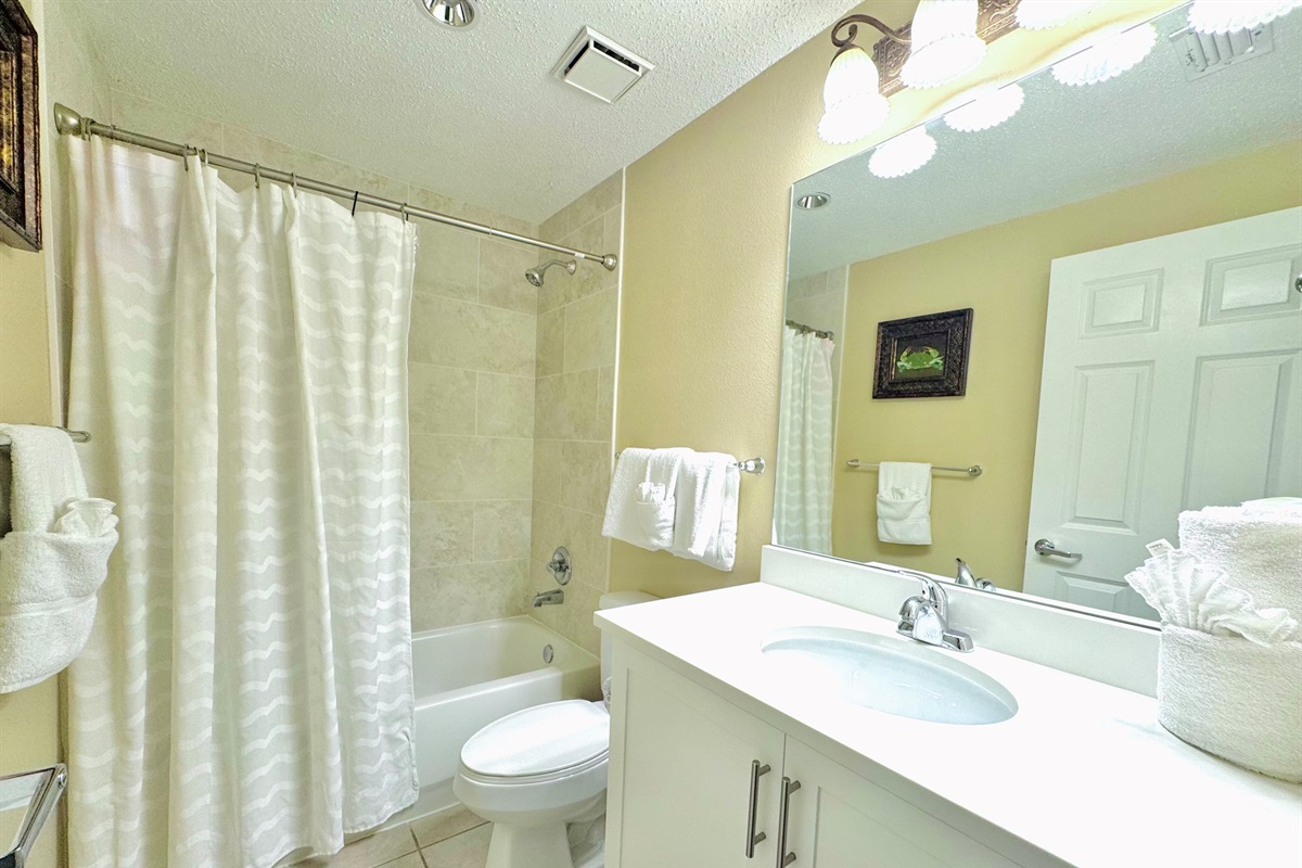 Guest bathroom has a shower and bathtub