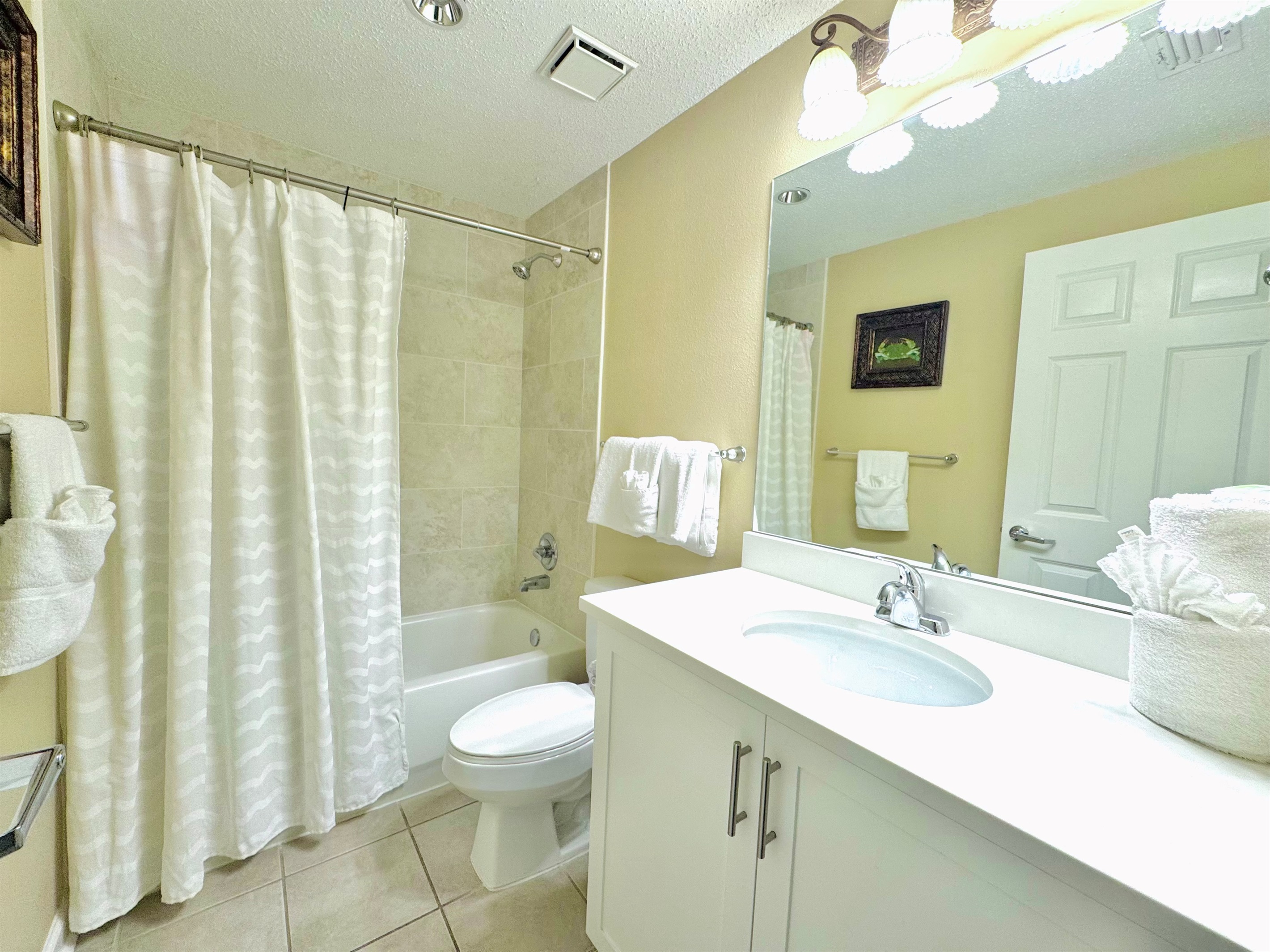 Guest bathroom has a shower and bathtub
