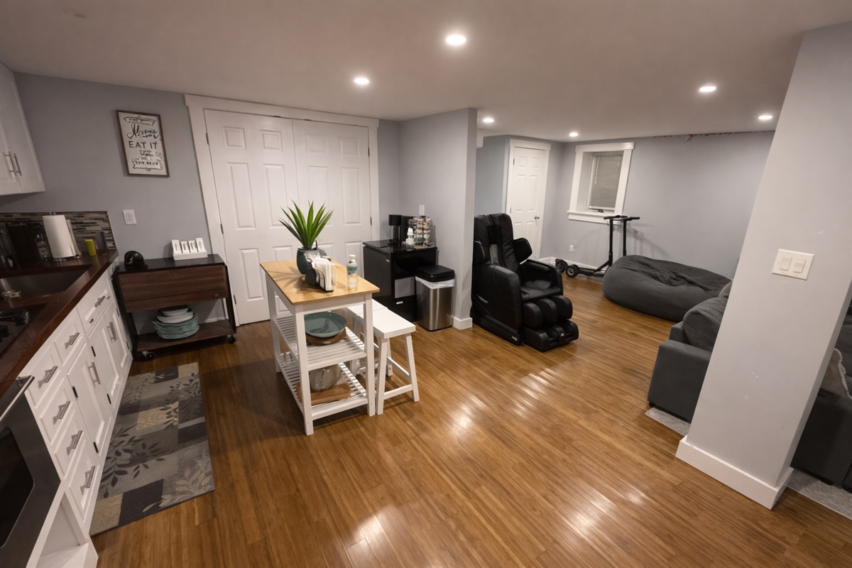 Basement living room