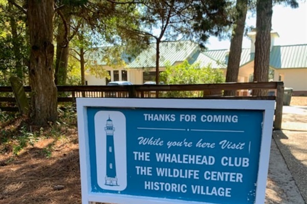 Visit the Historic Corolla Village by the lighthouse for additional shopping and food.