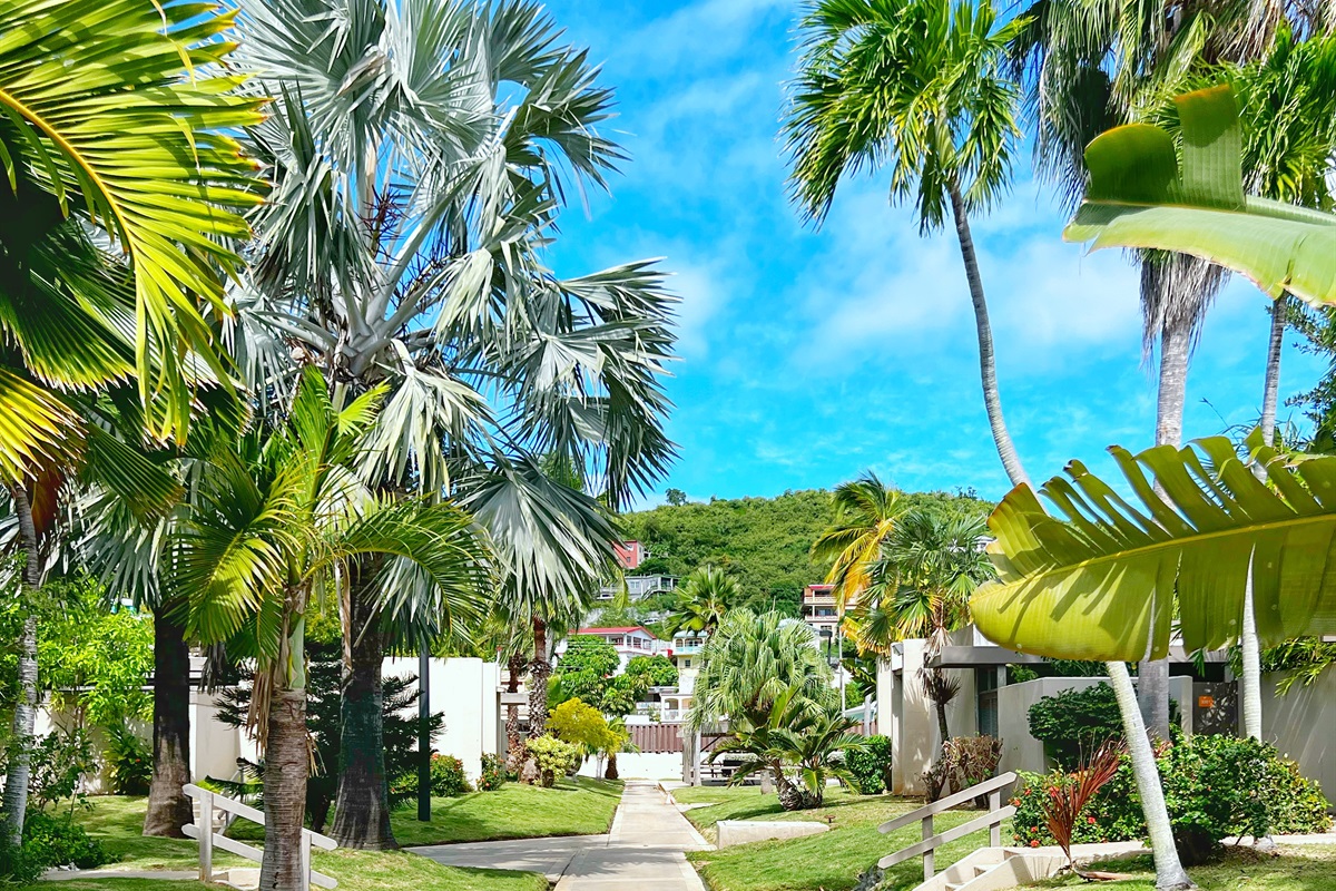 Tropical garden views that connect you to nature.