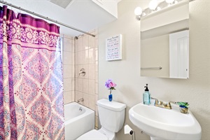 Complete Bathroom Oasis!