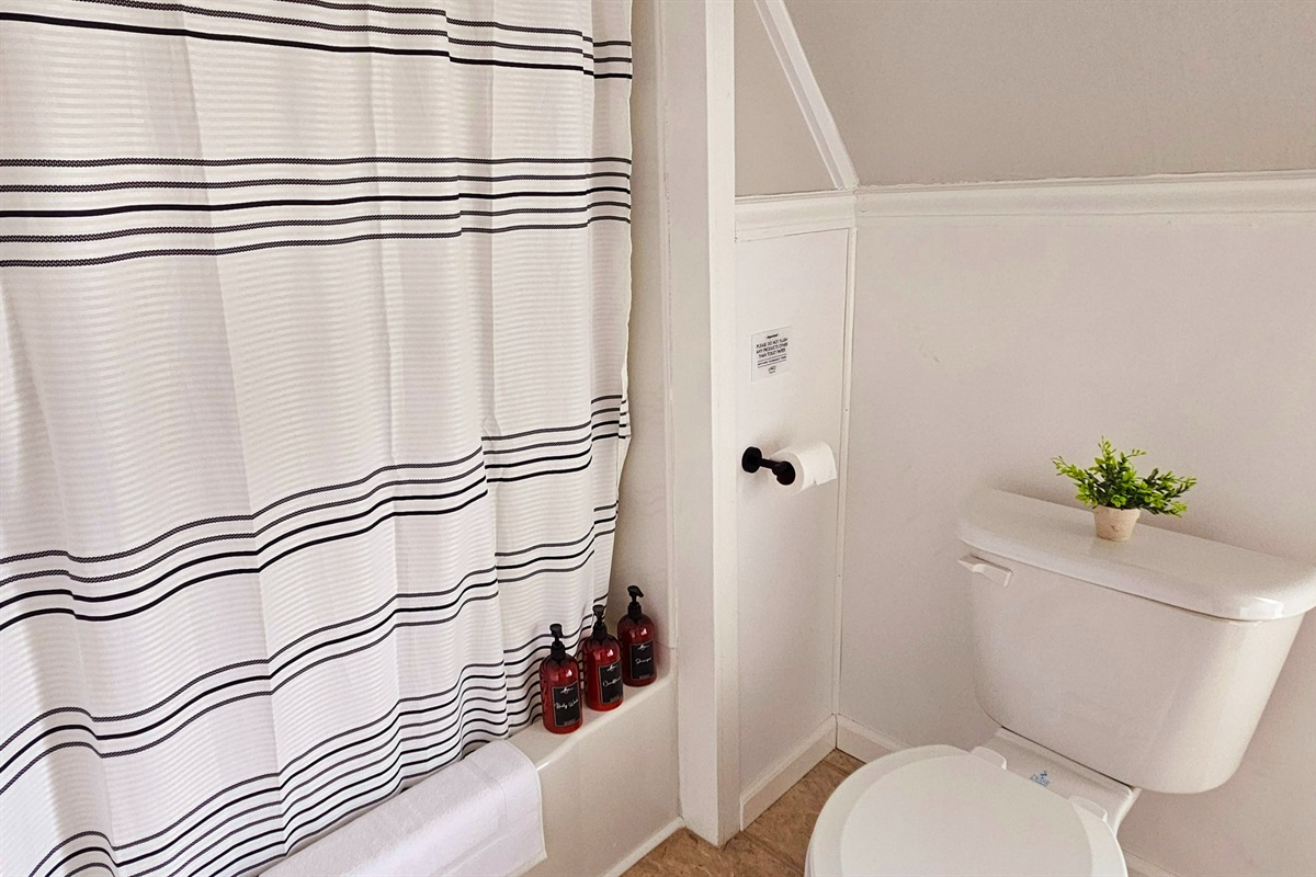 Full Bath/Shower Combo