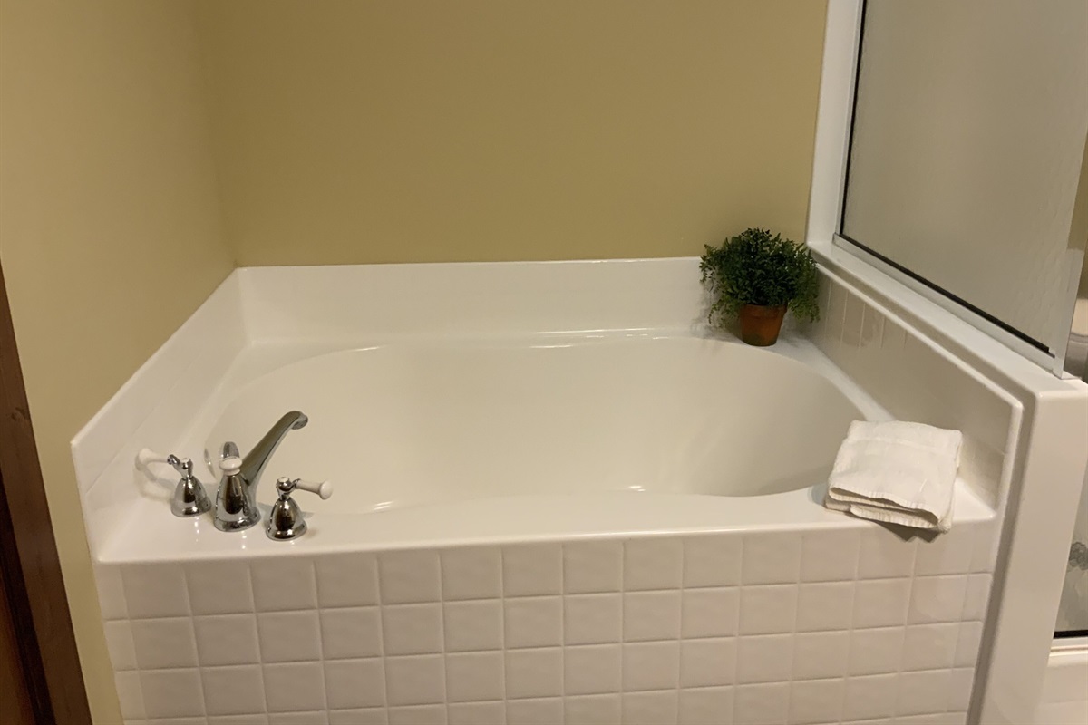 Garden tub in the Master Bathroom