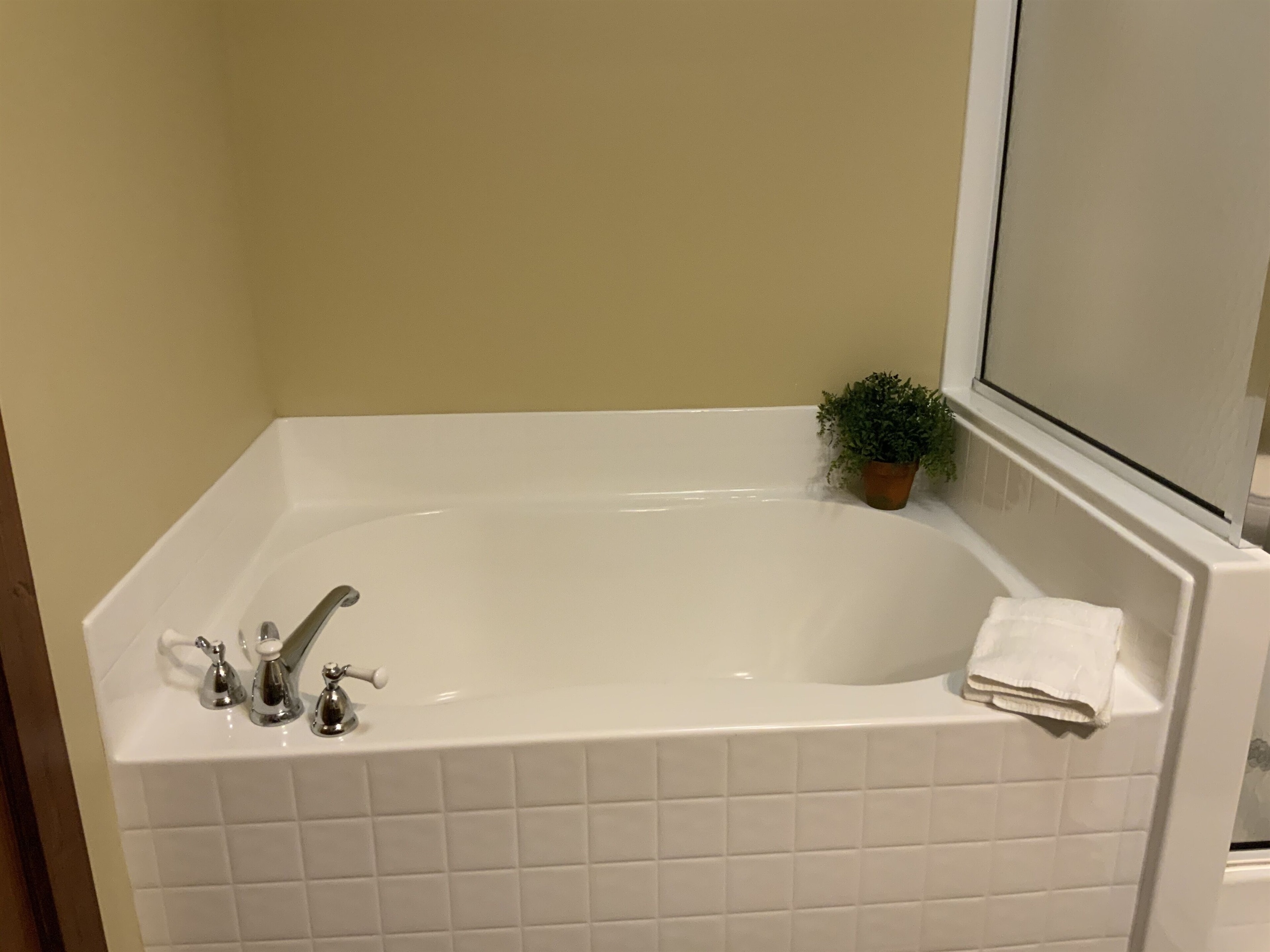 Garden tub in the Master Bathroom