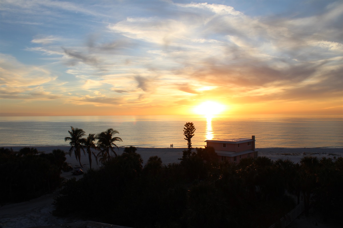 Good night, Island!