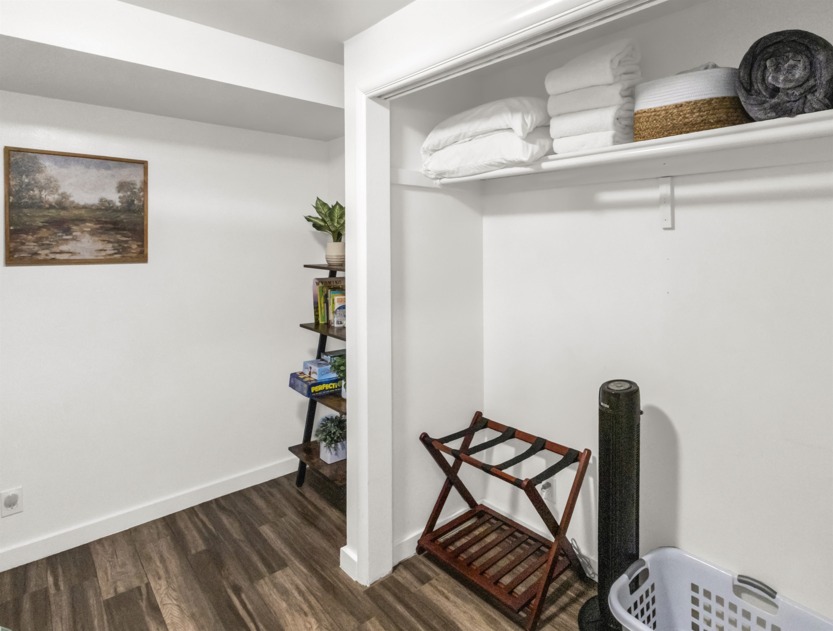 Closet and decor of second bedroom