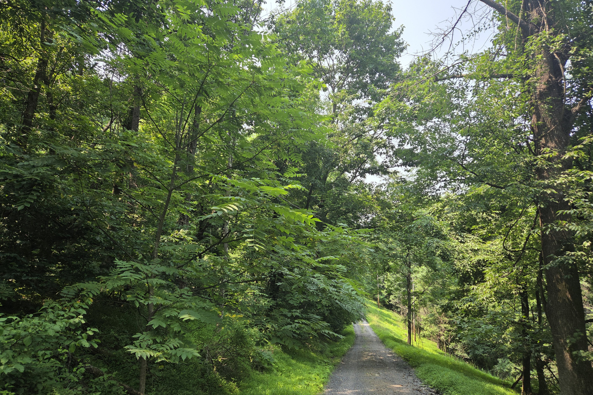 Red Roof is accessed by a winding gravel mountain road with hills and curves.
