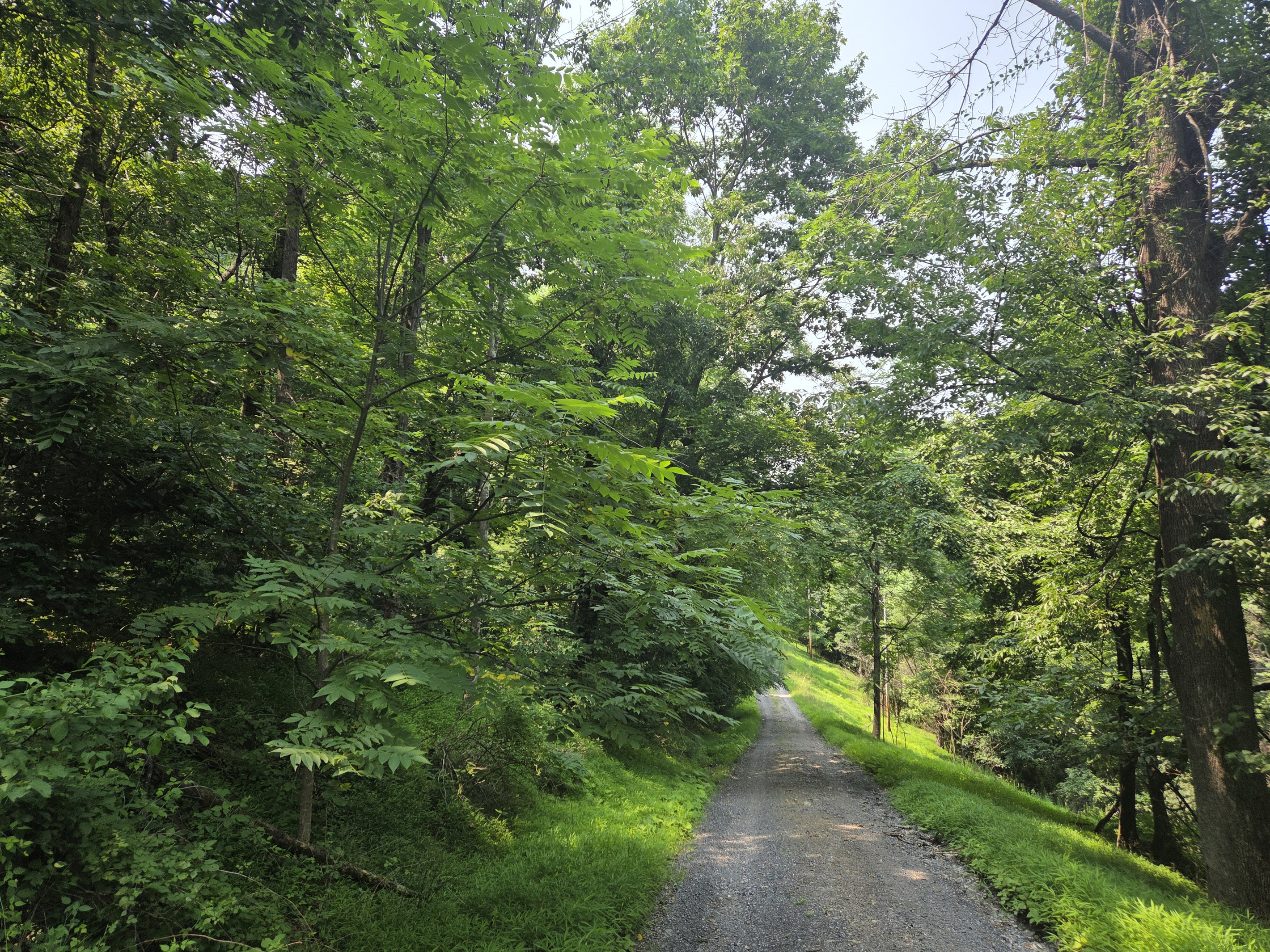 Red Roof is accessed by a winding gravel mountain road with hills and curves.