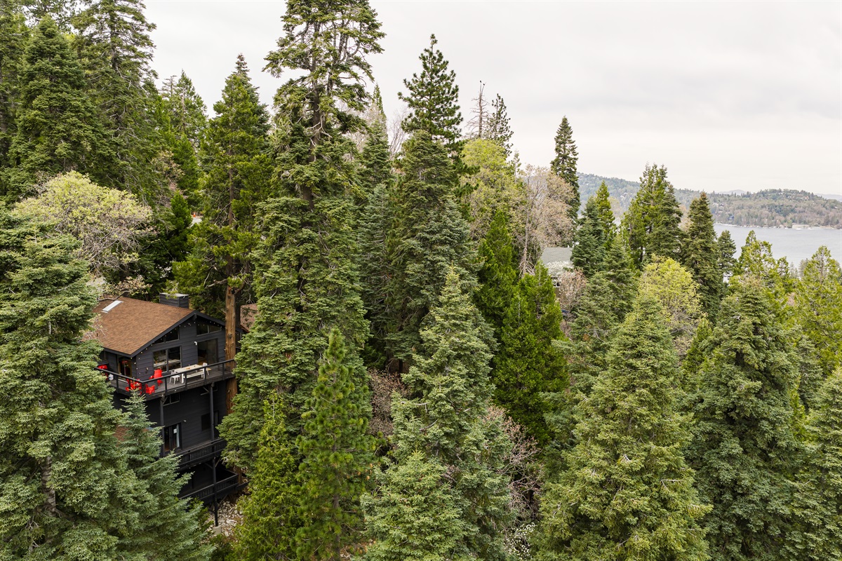 Only five minutes away from Lake Arrowhead Village, nestled in the trees.