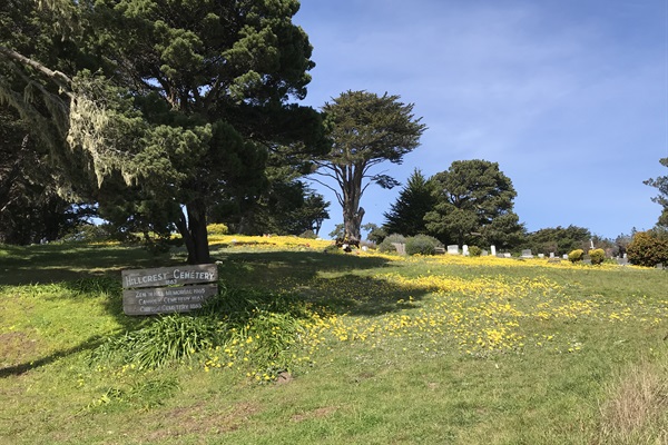 Mendocino Cemetery in Spring