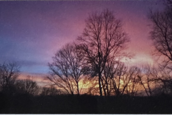 Sunset at Stone Leaf Farm.