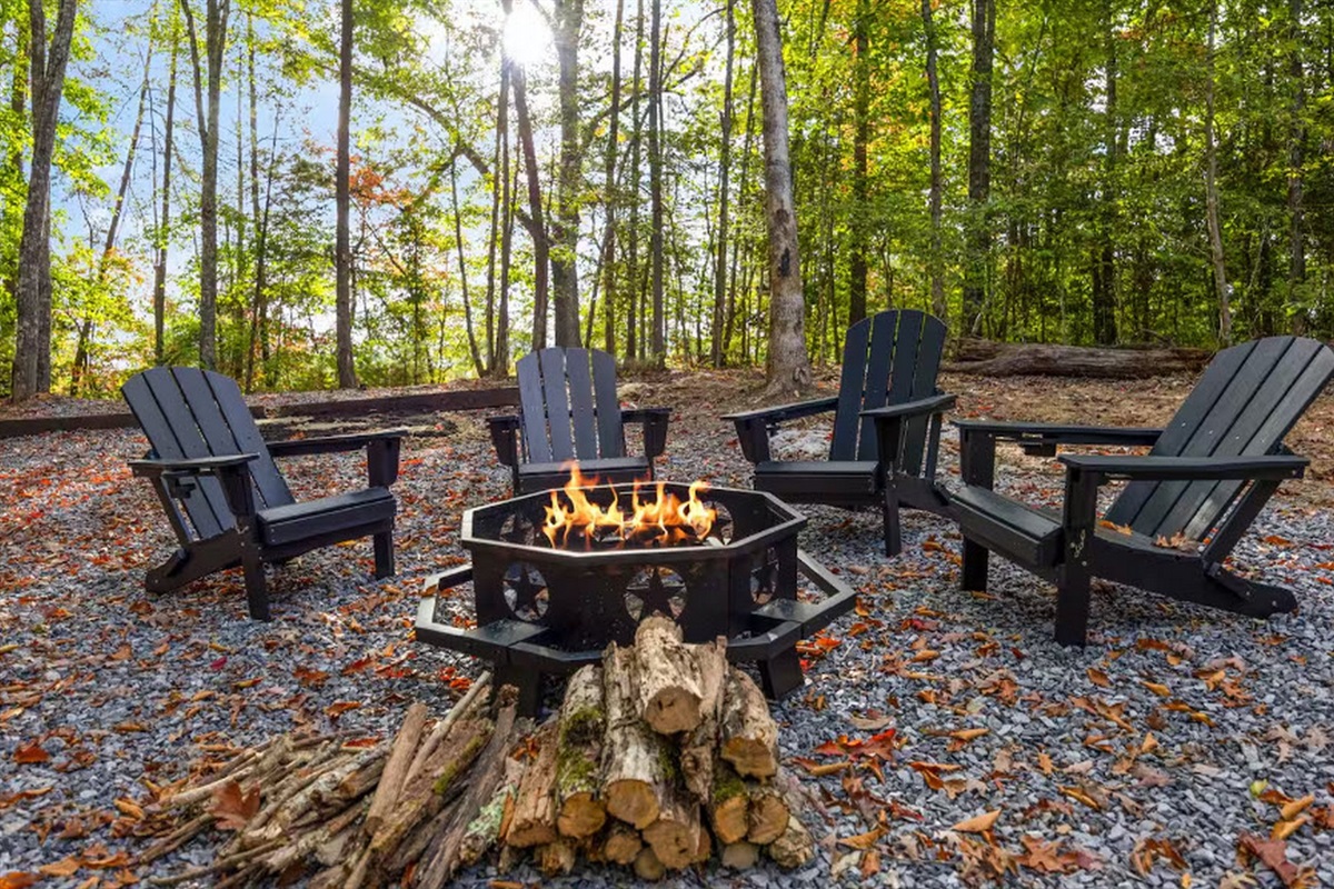 Firepit surrounded by woods