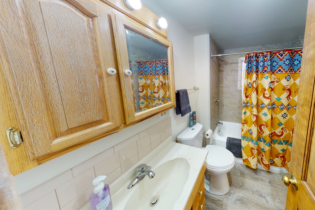 First Floor Bathroom 