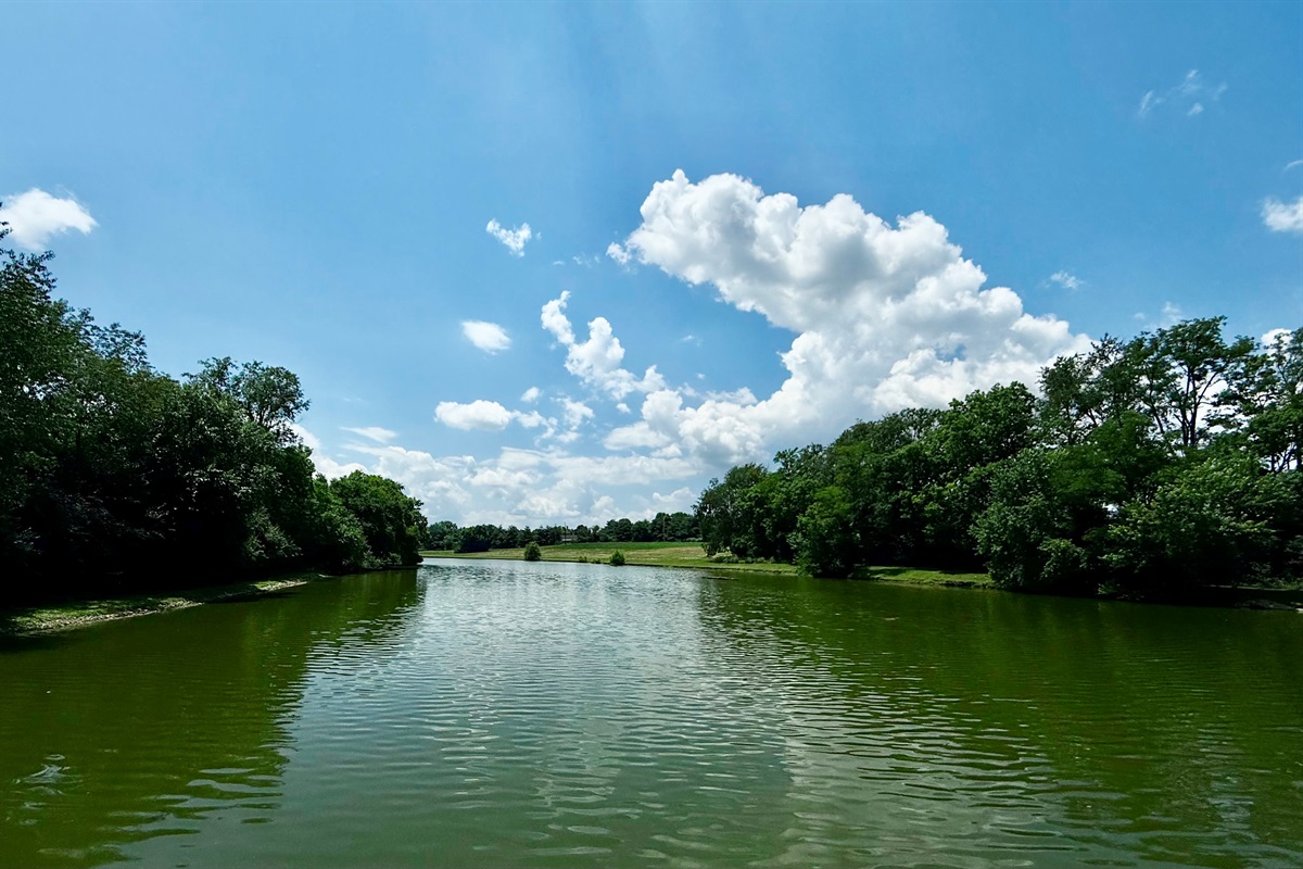 Sportsman Club Lake offers peaceful shoreline fishing for bass, catfish, and trout just minutes from town.