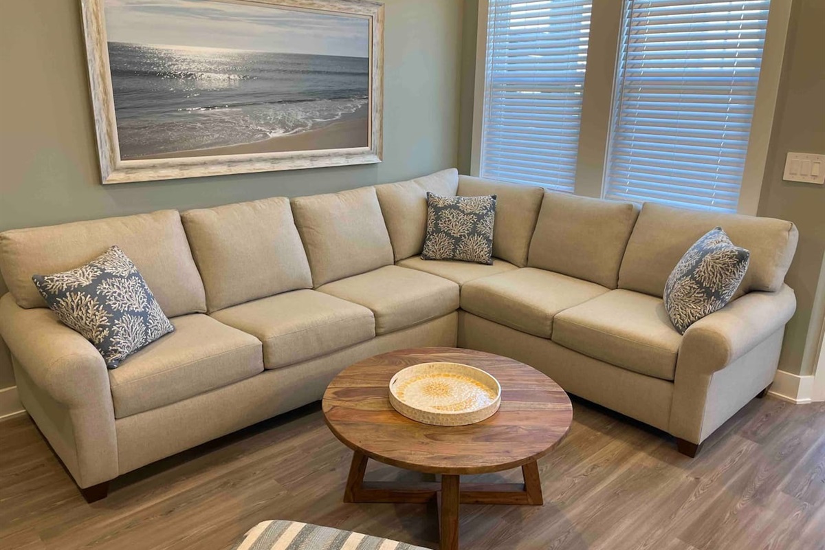 Living room with Queen pull out sofa. 