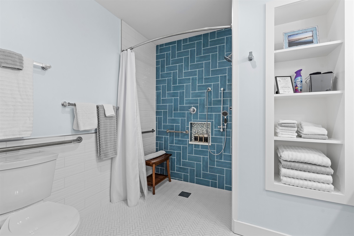 Zero entry shower in the hall bathroom