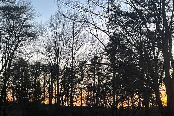 Picture from front porch