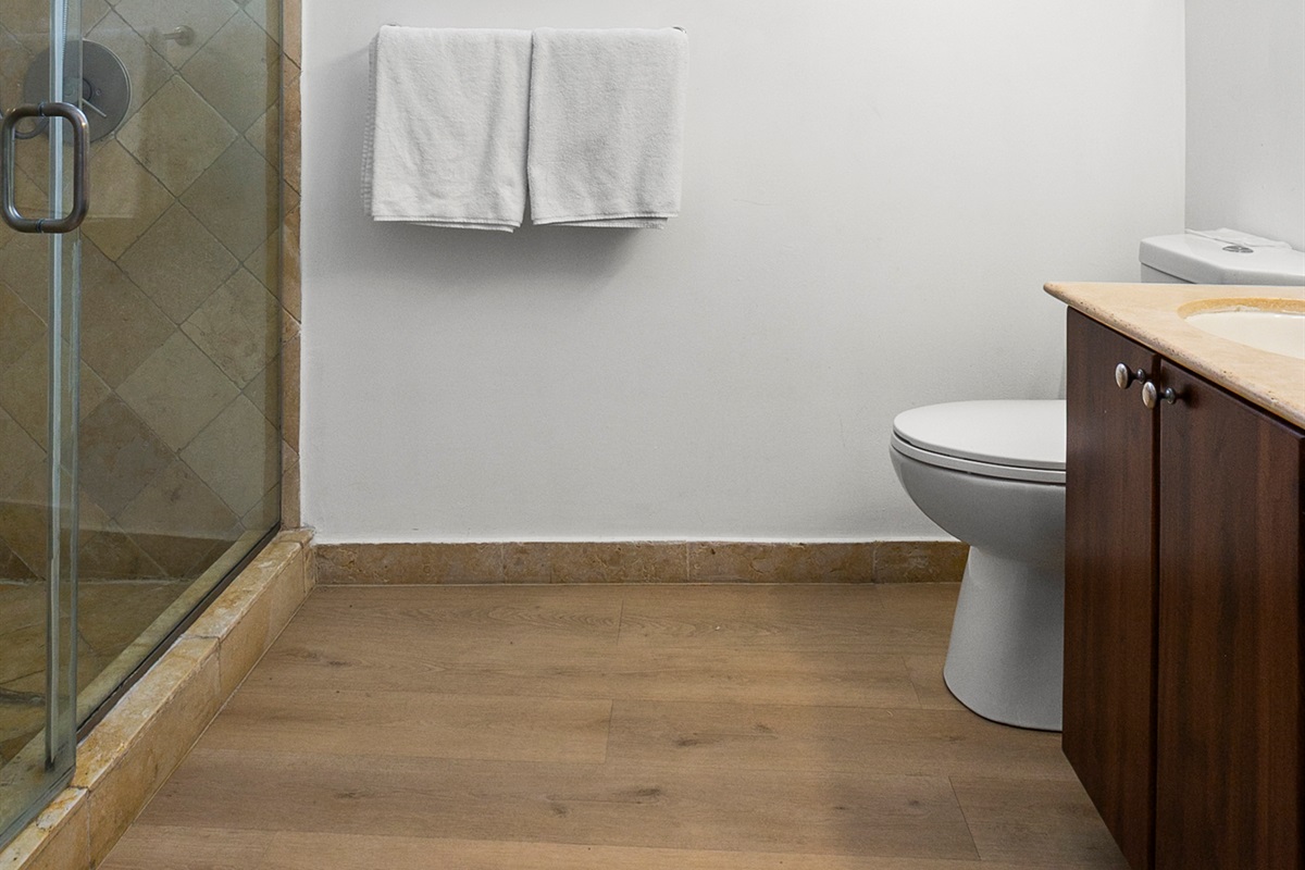 Primary Suite en-suite bath with walk-in shower