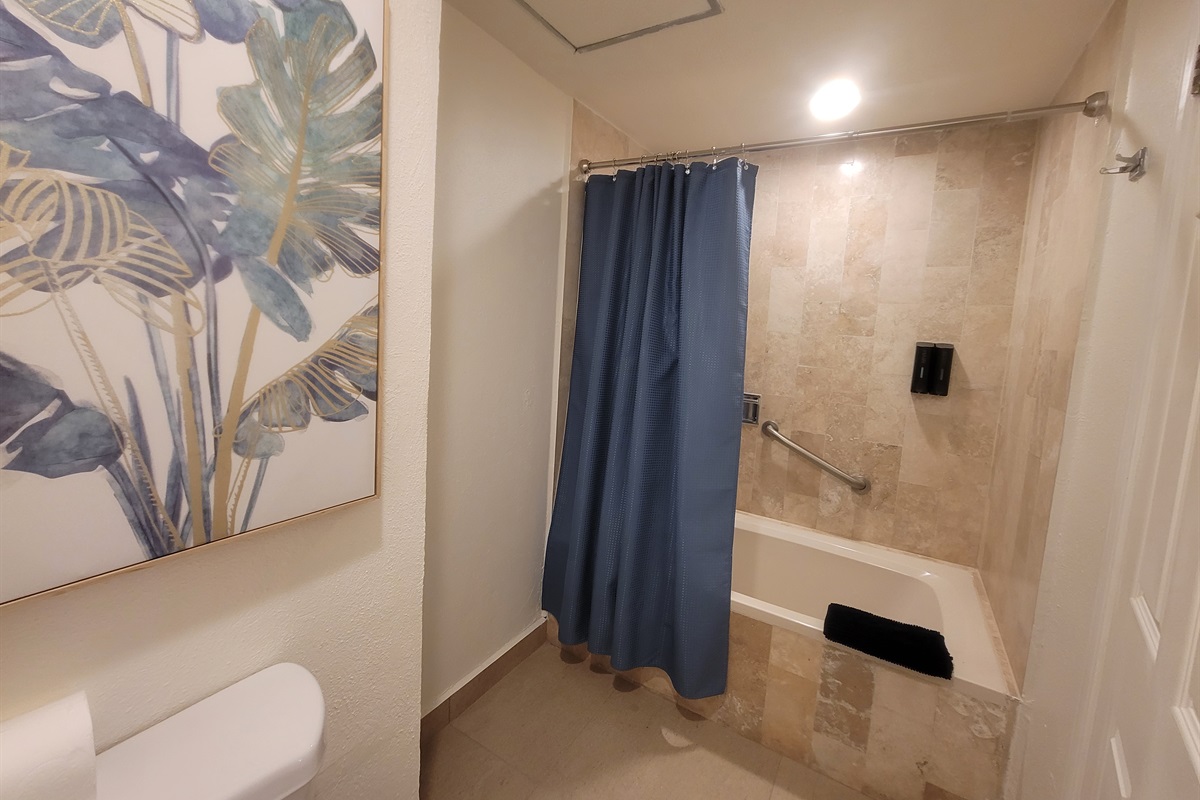 Master bathroom. Please NOTE: this will soon be converted to a stand up shower only. In booking the accommodations, you understand this maybe a tub set up or it may be a stand up shower only.