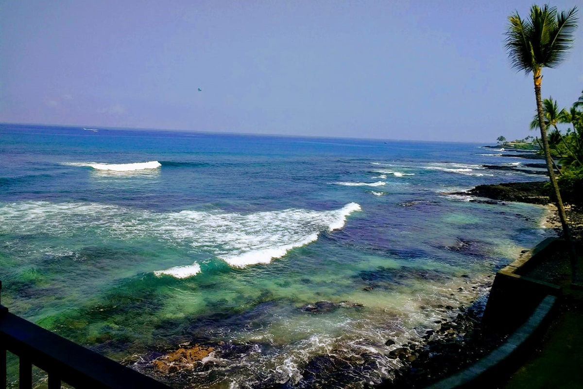 View from Banyan Tree