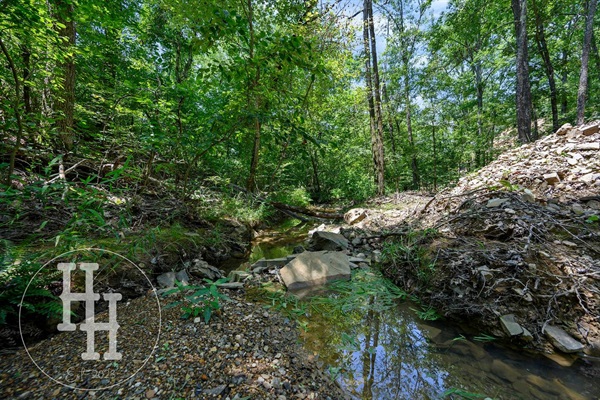 Creek view