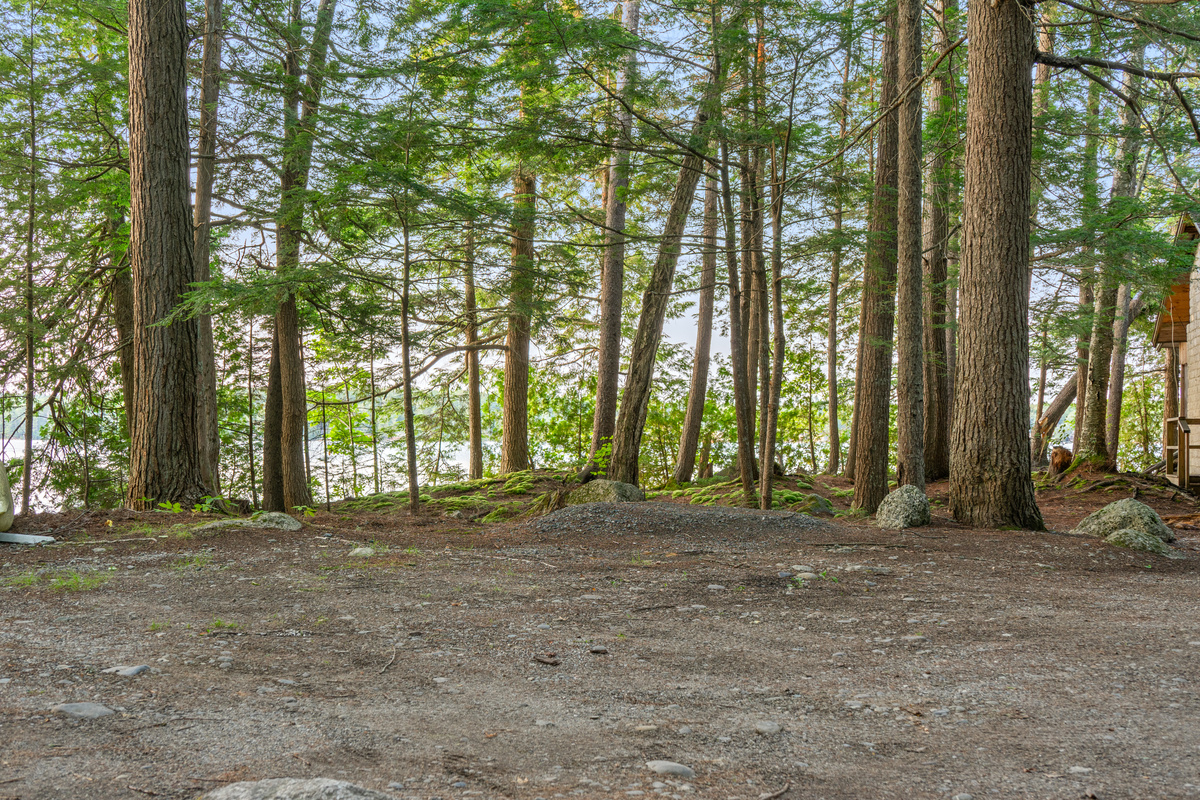 Private gravel parking area at Loonrise Point! Flat, natural dirt and gravel surface surrounded by tall pines with space for vehicles and boat trailers. Water views peak through the trees on Beech Hill Pond in Otis, ME.
