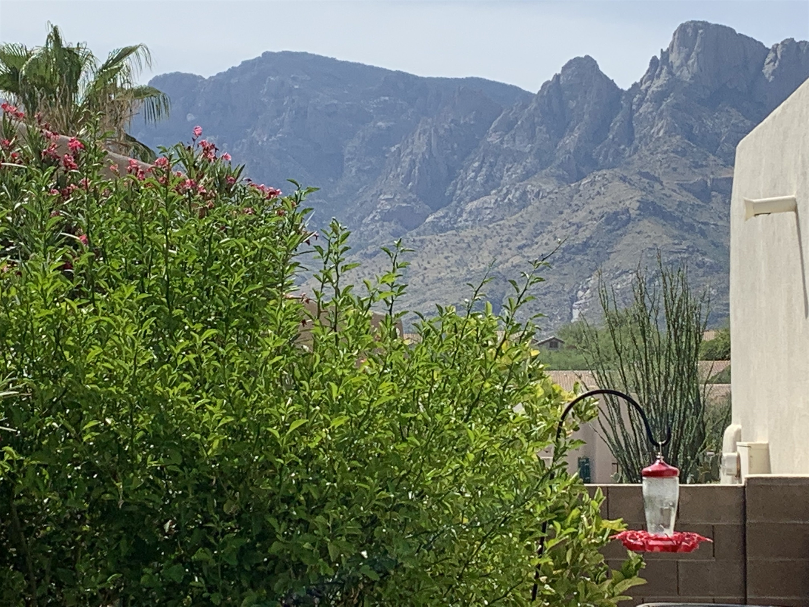 Mountain views from back yard