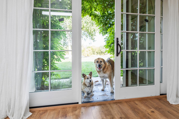 You may meet Damascus, our devoted livestock guardian, and Biscuit, his little sidekick. They tend to think every guest has come just to meet them.