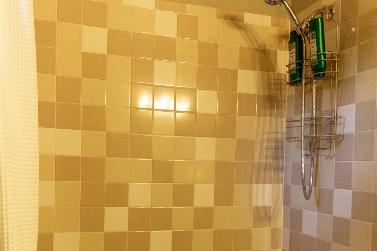 Bathroom with full tub and shower