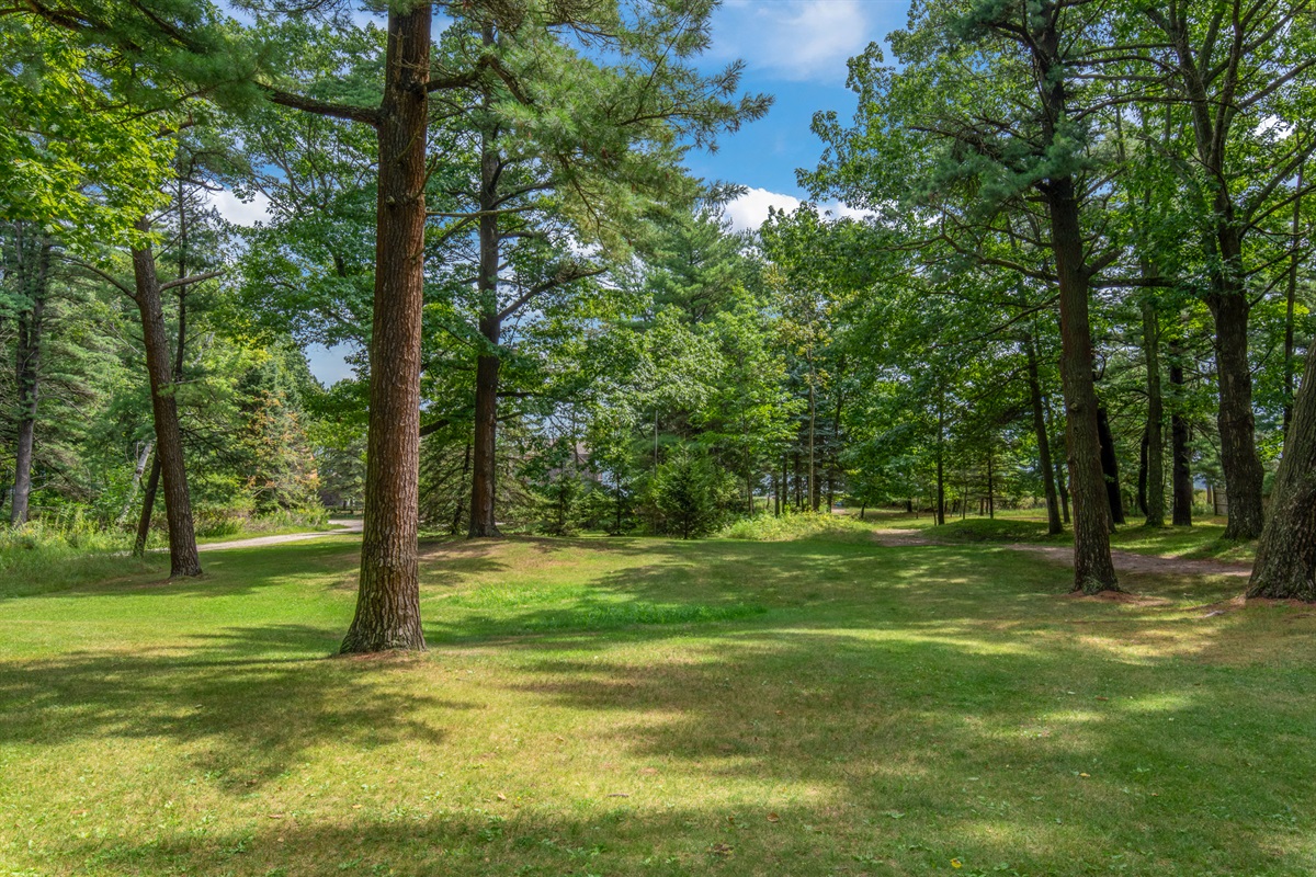 Wooded views surround you.