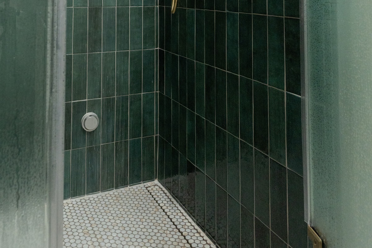 Comeback Upstairs Master Bathroom w/ Steam Shower