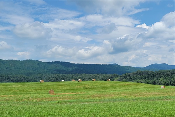 Views of Shenandoah National Park on the drive in. 