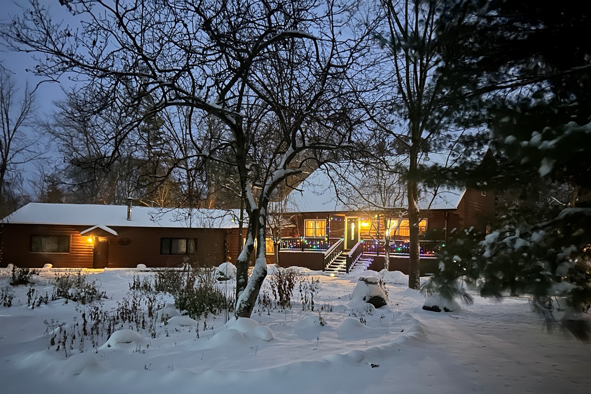 Fresh blanket of snow makes everything look pretty.