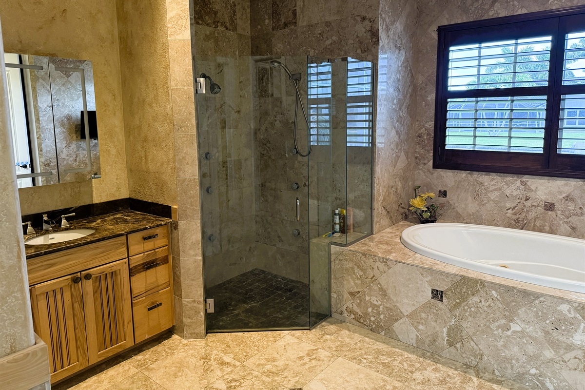 Downstairs Master Bathroom