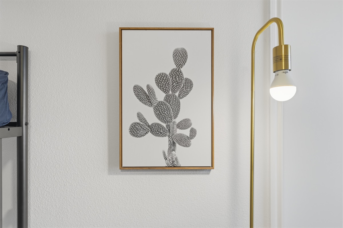 The Cacti Canvas