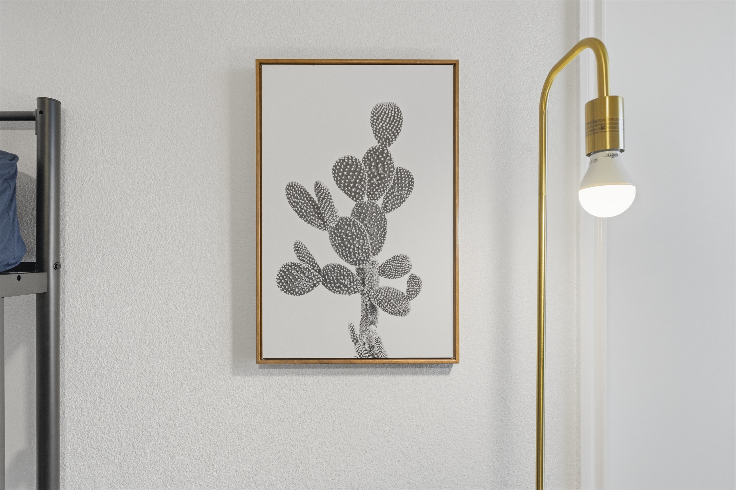 The Cacti Canvas