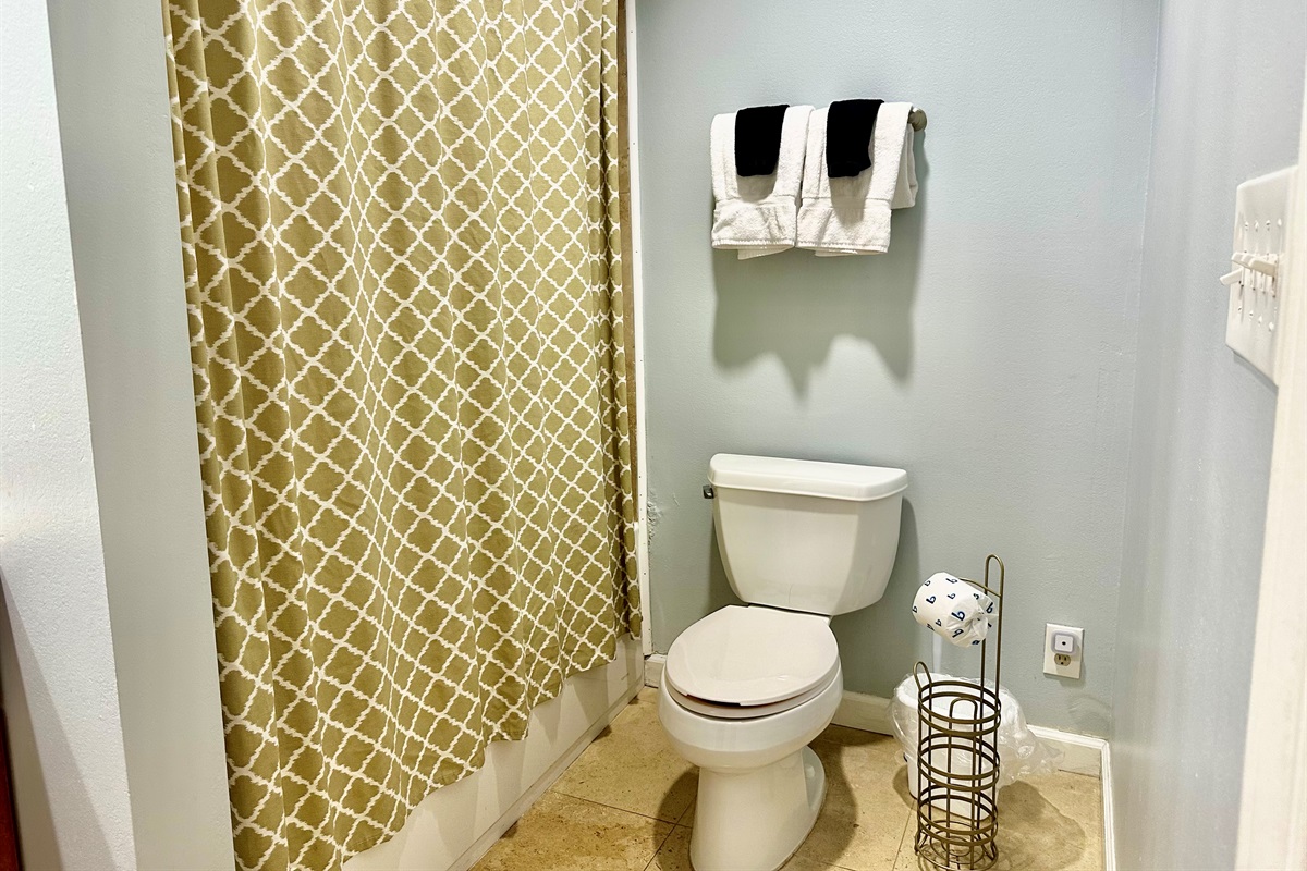 Tub/Shower combo