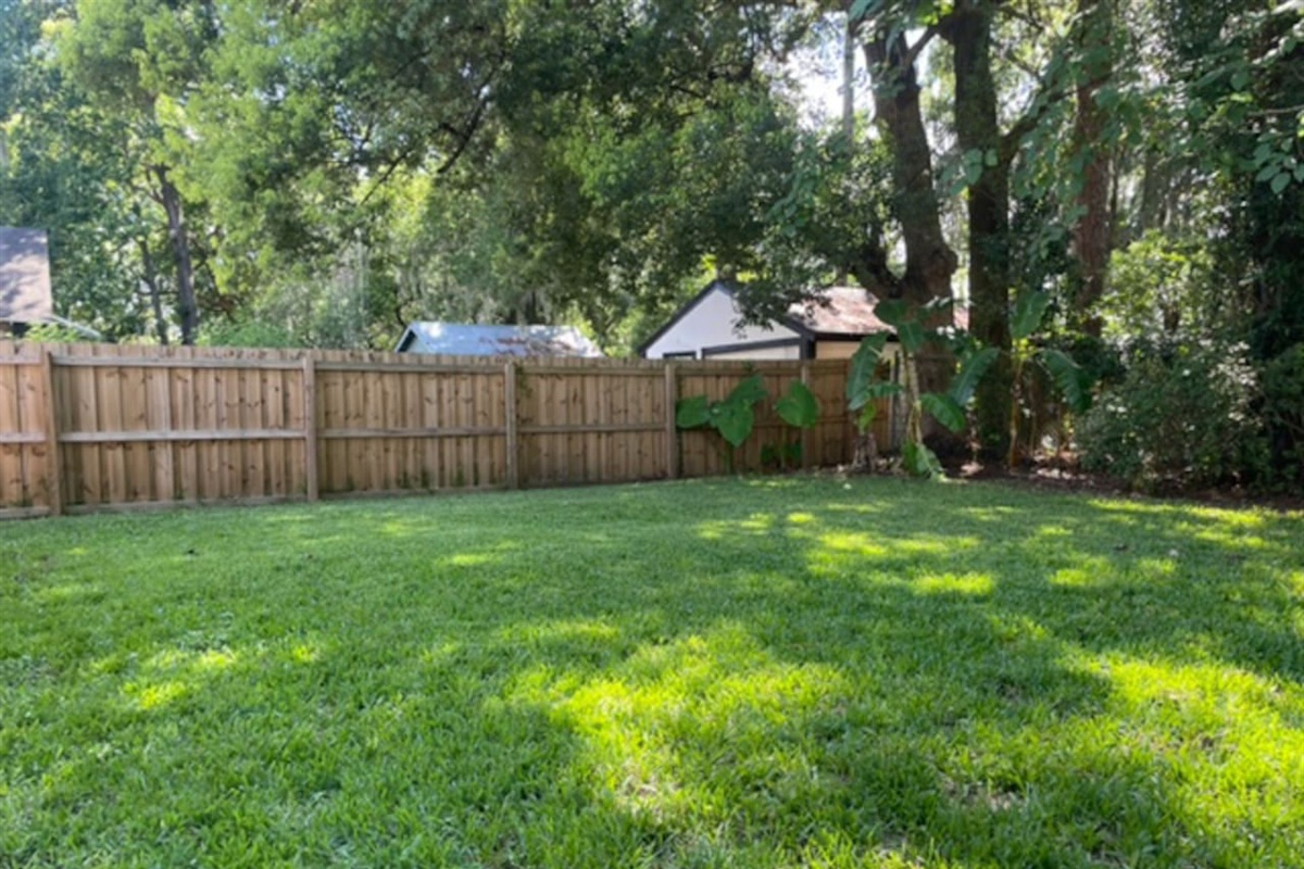 Back yard