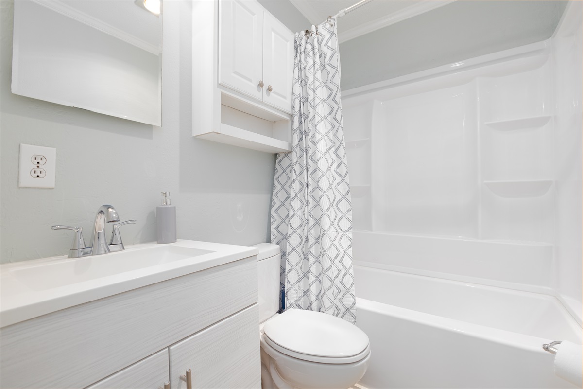 Fully renovated, brand new bathroom