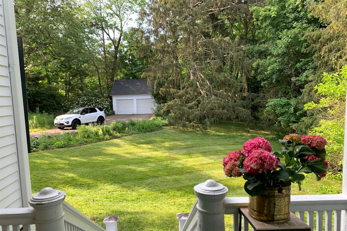 Backyard in spring/summer 