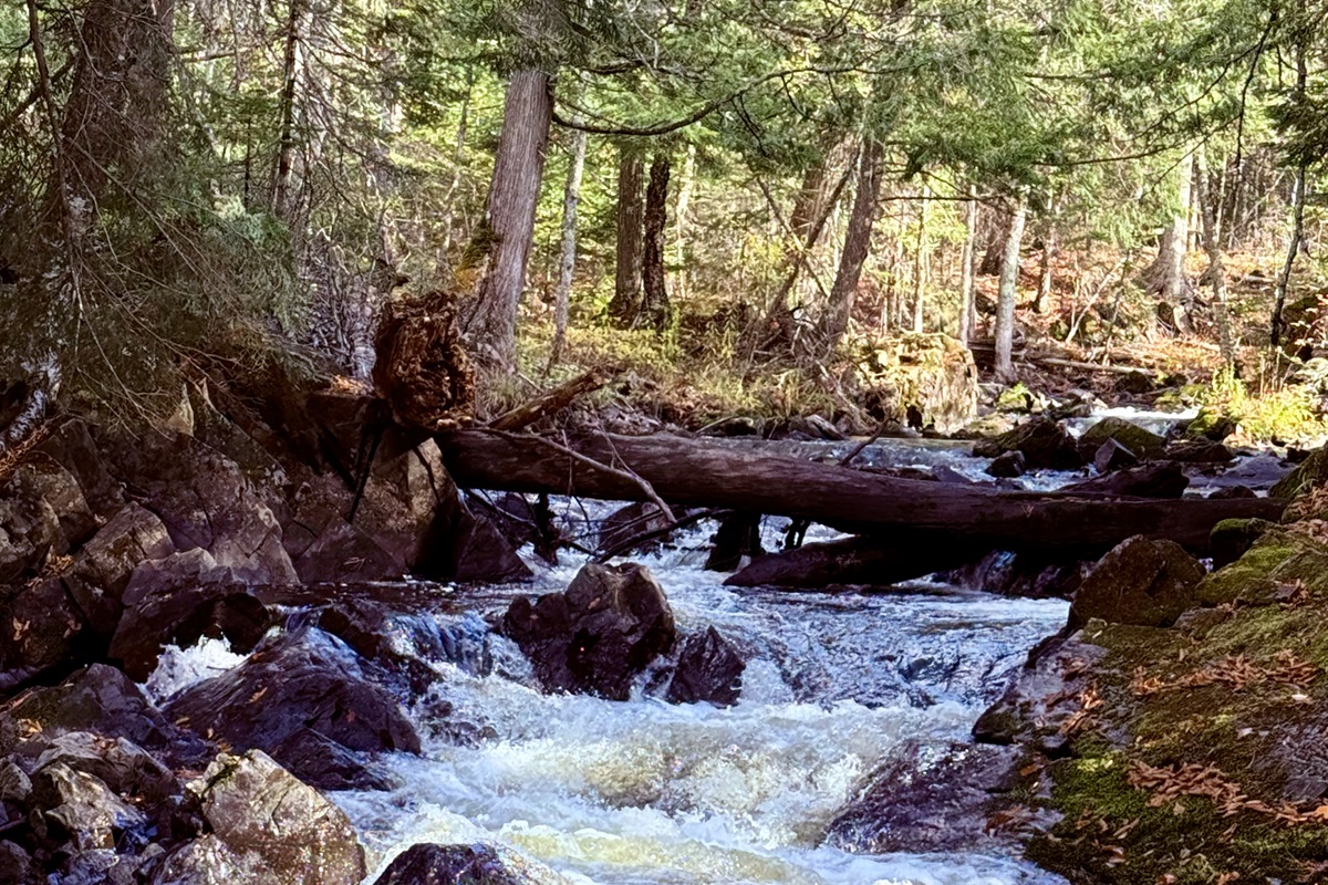 Bond Falls