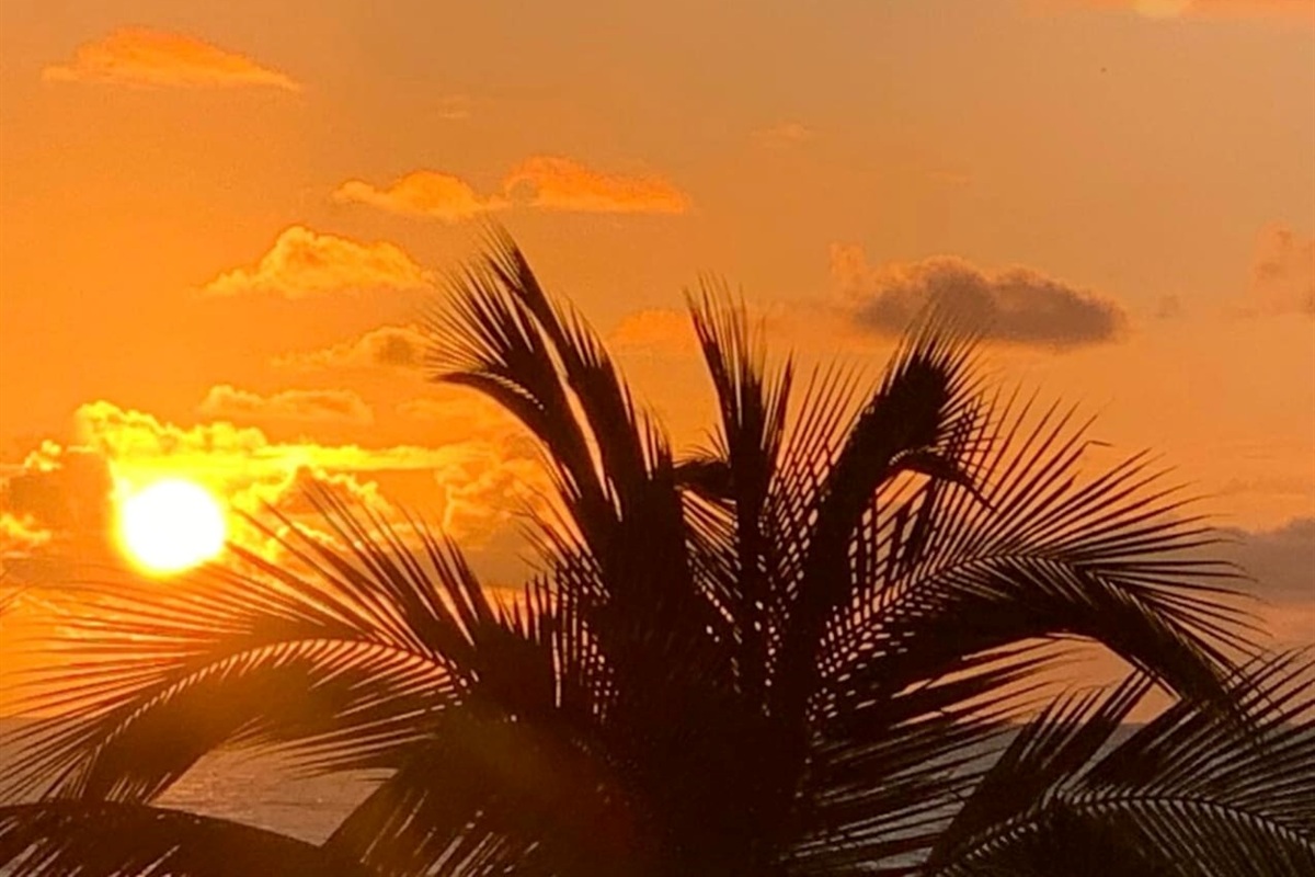 The most amazing sunsets.