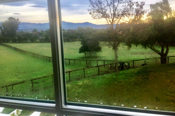 Watch the sunrise and morning mist lift over the animal pastures and distant mountains.