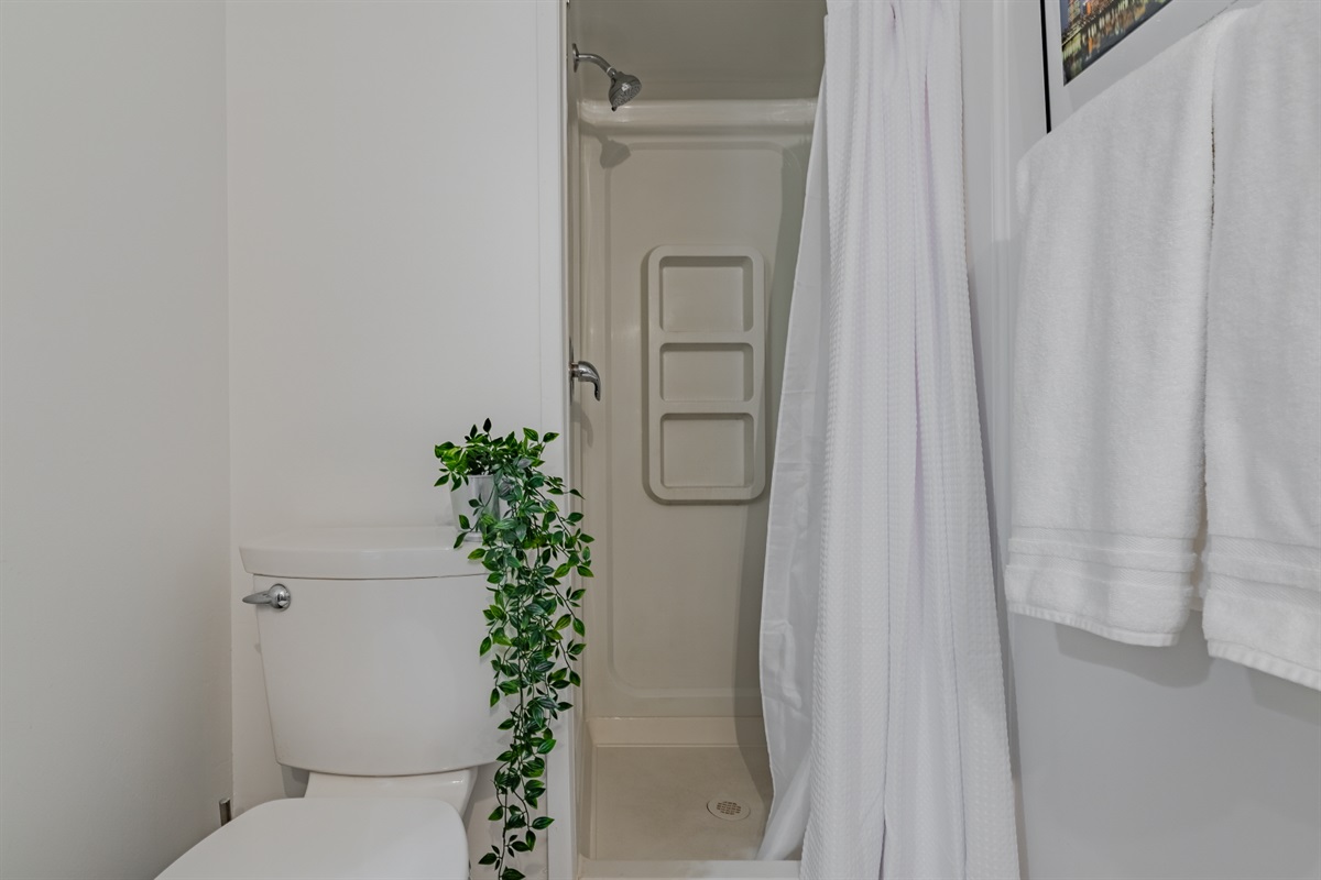 Clean, simple walk-in shower.