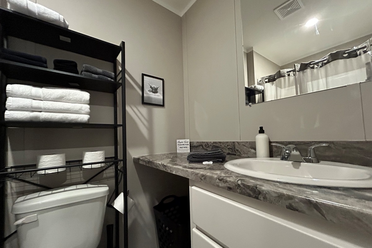 Bathroom 1 with stand up shower