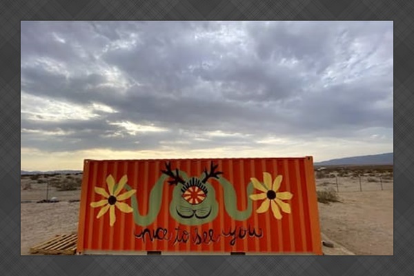 Container art by Daisy Mae