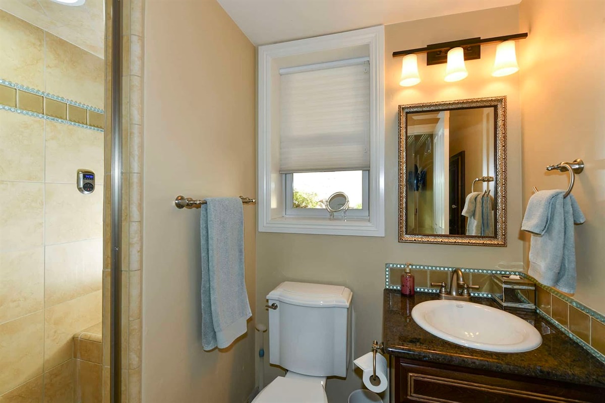 Bedroom suite 4 with living area, kitchenette, queen bed and full bathroom.