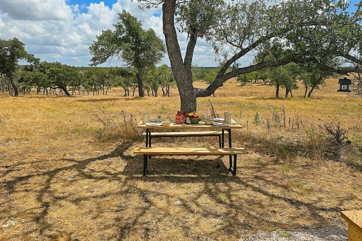 Settle in for a delightful outdoor meal with friends, surrounded by the peaceful Hill Country landscape.